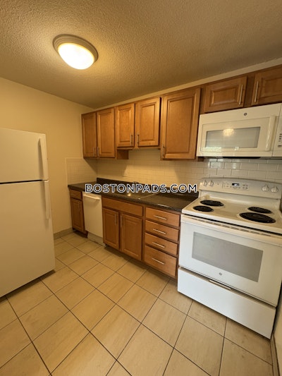 Allston/brighton Border Apartment for rent 2 Bedrooms 1 Bath Boston - $2,800 No Fee
