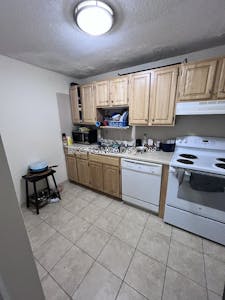 Brighton 2 Bed 1 Bath BOSTON Boston - $2,800 No Fee