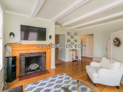 Brighton 1 Bed 1 Bath Boston - $3,100 No Fee