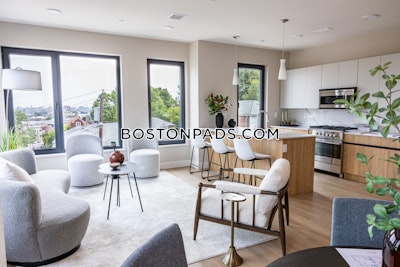Brighton Apartment for rent 2 Bedrooms 2 Baths Boston - $5,400 No Fee