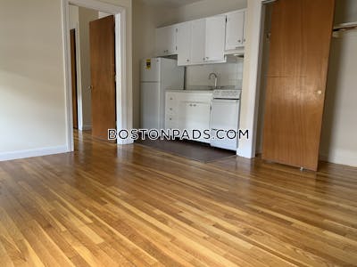 Brighton Apartment for rent 1 Bedroom 1 Bath Boston - $2,000