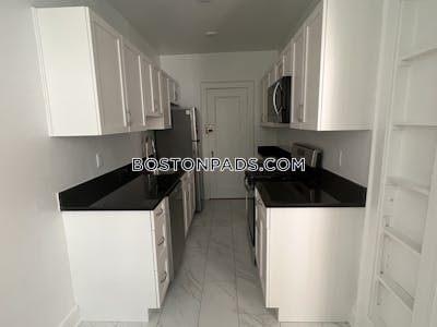 Brighton Apartment for rent 1 Bedroom 1 Bath Boston - $2,995 No Fee