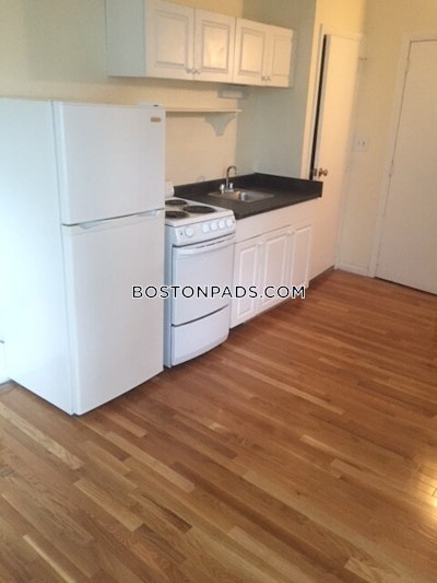 Jamaica Plain Apartment for rent Studio 1 Bath Boston - $1,795 No Fee