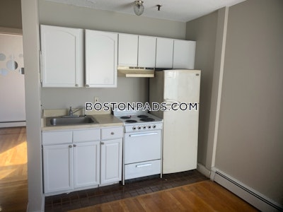 Brighton Apartment for rent 1 Bedroom 1 Bath Boston - $2,095