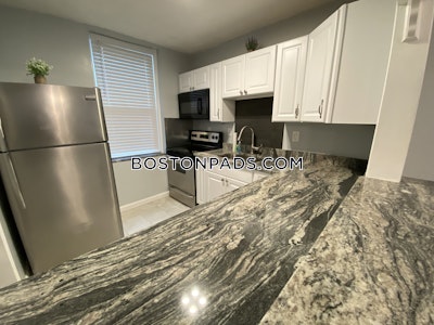 Allston/brighton Border Apartment for rent 3 Bedrooms 2 Baths Boston - $3,900