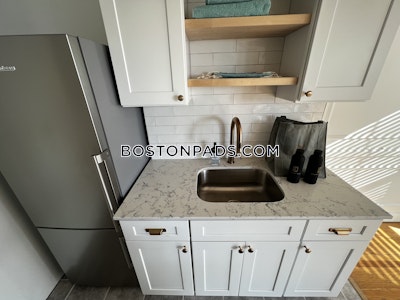 Brookline Apartment for rent 1 Bedroom 1 Bath  Coolidge Corner - $3,251