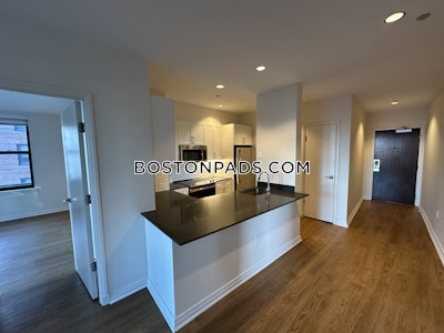 Downtown Apartment for rent 2 Bedrooms 2 Baths Boston - $5,177