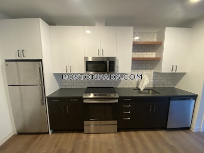 Allston Apartment for rent 1 Bedroom 1 Bath Boston - $3,374 No Fee